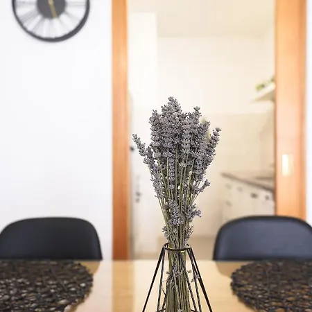 Apartmán The Felice Zadar